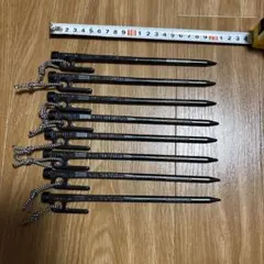 snowpeak.スノーピーク、ソリッドステーク20、8本組のサムネイル