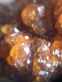 Borders様 リクエスト 10点 まとめ商品