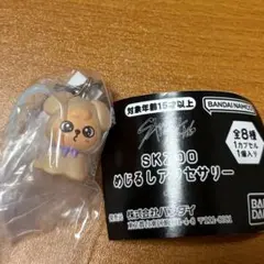 straykids skzoo めじるしアクセサリー puppyM