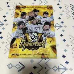 藤川　ウィリアムス　久保田　岩崎　石井　及川　★クリアファイル★阪神タイガース