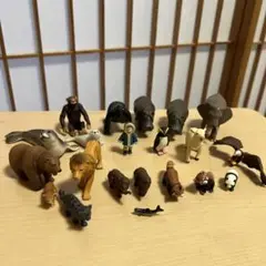 アニア まとめ売り21体　レアもあり