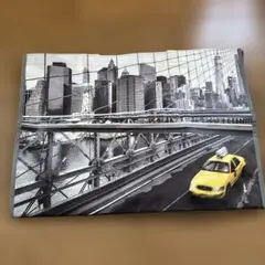 コストコ　買い物バッグ