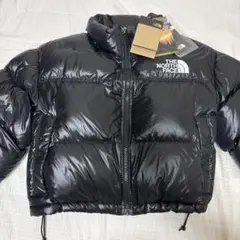 the north face ノースフェイス　クロップド丈　ダウンジャケット