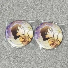 ★貴重★名探偵コナン 灰原がいっぱい 缶バッジ 名探偵コナン キャラバッジコレクション ～灰原がいっぱい～ 8個