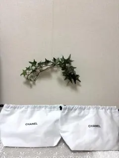 新品未使用CHANEL ロゴ入りホワイトポーチ 巾着袋　2個セット