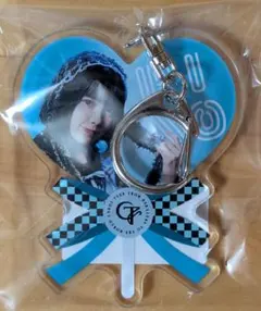 福山梨乃アクスタ14個、きゃんぱてぃVIPセット　おまけつき 福山梨乃アクスタ14個、きゃんぱてぃVIPセット おまけつき 福山