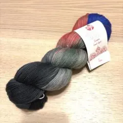 Teen 手染め ラナグロッサ ソックヤーン かせ 秋冬 中細 メリノウール