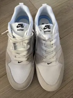 新品Nikeナイキ SB アリウープ スケートボードシューズ　ホワイト　28