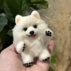 羊毛フェルト クッションでくつろぐ白ポメ ポメラニアン - メルカリ