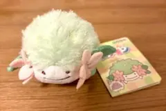 へんしんメタモン　シェイミ　ポケモンセンター　マスコット　ポケモン　ぬいぐるみ