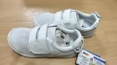 Item thumbnail for item ff572917-f4df-4f7a-a1ad-e9bd72fd57d5