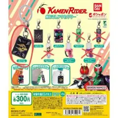 仮面ライダー めじるしアクセサリー カードデッキ