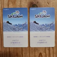 500円返金付 スキージャム勝山 1日リフト券