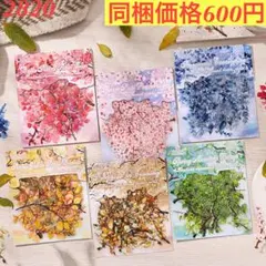 ☆珊瑚☆様 リクエスト 2点 まとめ商品