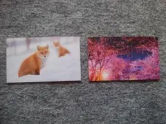 北海道　写真で観る北見　イメージフォトカード2枚　未使用　各５・５ｘ９ｃｍ