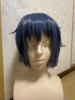 魔法使いの約束　コスプレウィッグ　ネロのサムネイル