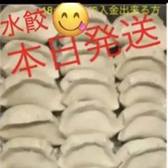 無添加❗️お作り立て❗️新鮮当日冷凍後発送 肉野菜水餃子1kgのサムネイル