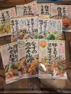 キッコーマン　うちのごはん　10種10袋セット　④のサムネイル