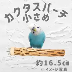 鳥用品　止まり木　カクタス　スケルトン　パーチ　特大No.217 2026年最新】カクタスパーチの人気アイテム - メルカリ