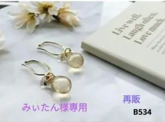 みぃたん様リクエスト2点おまとめページ