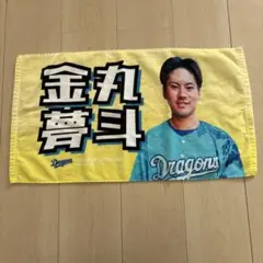 Item thumbnail for item aa86fe14-911c-487a-990f-36568e8c9cb2