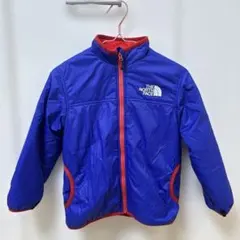 ザノースフェイス 100