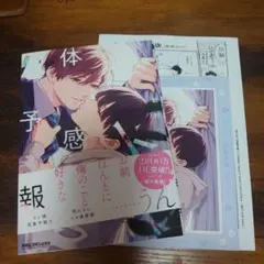 鯛野ニッケ/体感予報 コミコミスタジオ特典リーフレット+ペーパー