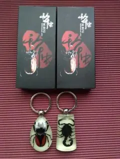 クワガタ(メス)と黒サソリセット