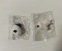 いぬ羊