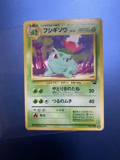 フシギダネ フシギソウ イントロパック 旧裏 ポケモンカード - メルカリ