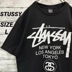 【大人気モデル】ステューシー Tシャツ 半袖 ワールドツアー 両面 ブラック 黒