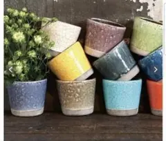 植木鉢　鉢　陶器　黄色鉢　黄色植木鉢　観葉植物　テラコッタ