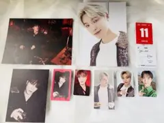 SEVENTEEN ディノ シーグリ まとめ売り