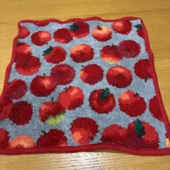 水通しのみ　フェイラー　FEILER レポム　ハンカチ　グレー