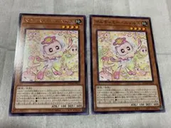 マルチャミーニャルス