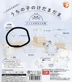 うちの子のけだまだま 犬 ポメラニアン