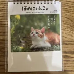 2026年 猫 卓上カレンダー Hallmark