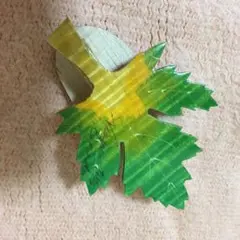 カナダ マグネット