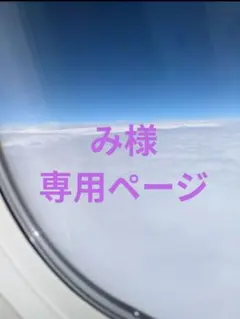 み様 リクエスト 2点 まとめ商品