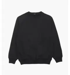 COMOLI 26SS LWコットン裏毛 クルーネック 2 D01-05017 - メルカリ