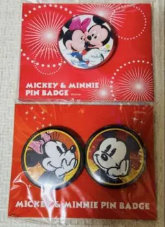 ディズニー ピンバッジ 缶バッジ 非売品 ミッキー ミニー セット