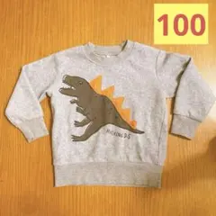 ✨即購入OK✨100 恐竜　トレーナー　グレー　長袖　秋　冬　微起毛