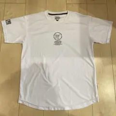 Item thumbnail for item fd6d807e-f5ab-466d-821b-3dc80636d60d