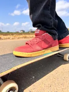 Nike sb dunk low pro adobe