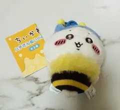 ハチワレ ハチさん