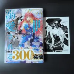 売られた辺境伯令嬢は隣国の王太子に溺愛される14のサムネイル