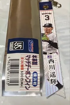 ヤクルトスワローズ西川遥輝選手ボンフィン