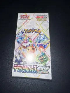 正規品　完全未開封　テラスタルフェス　シュリンク付　6BOX compass1738027517.jpg