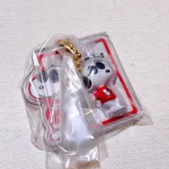 PEANUTS SNOOPY 패키지 매력 스누피 조쿨
