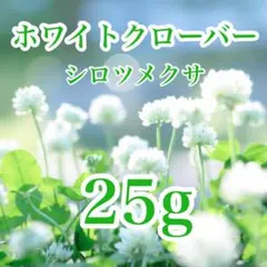 ホワイトクローバー シロツメクサ 25g 種